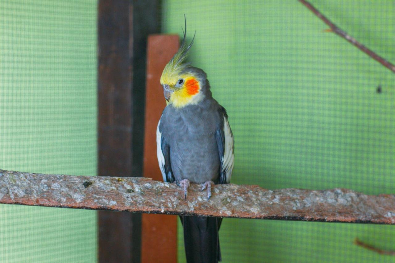 Pousada Campo Alegre イタチアイア エクステリア 写真